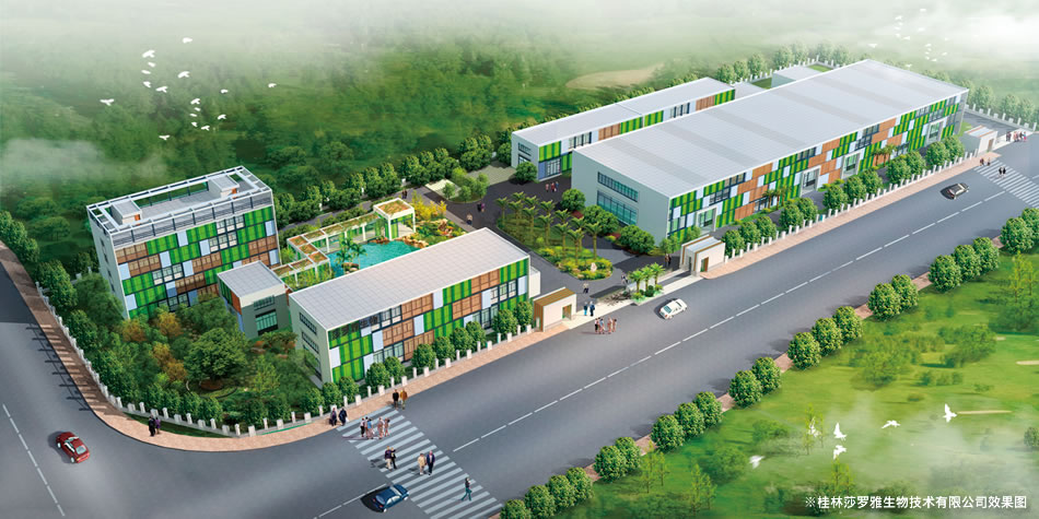 ※桂林莎羅雅生物技術有限公司效果圖